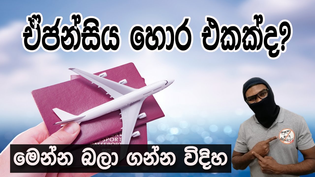 ඒජන්සිය නිත්‍යානුකූල බව පරීක්ශා කරමු|How to Find Legal Agency|Foreign Jobs Details|On Line Complain