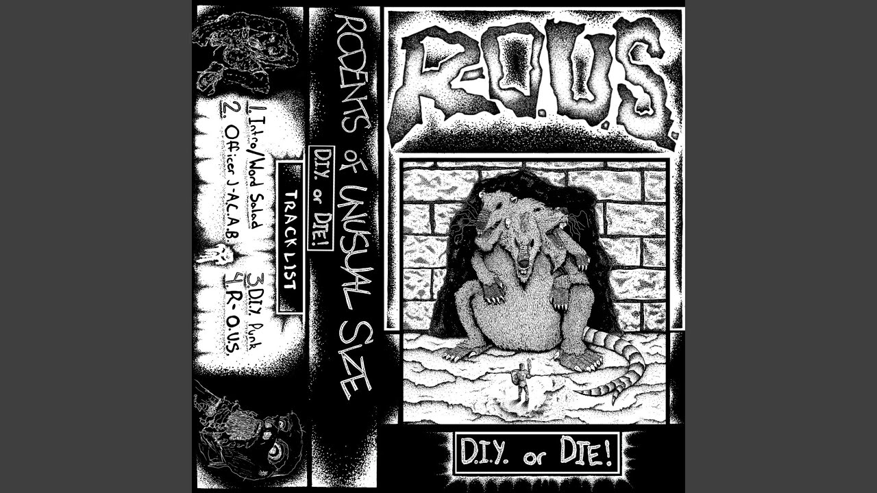 D.I.Y. Punk