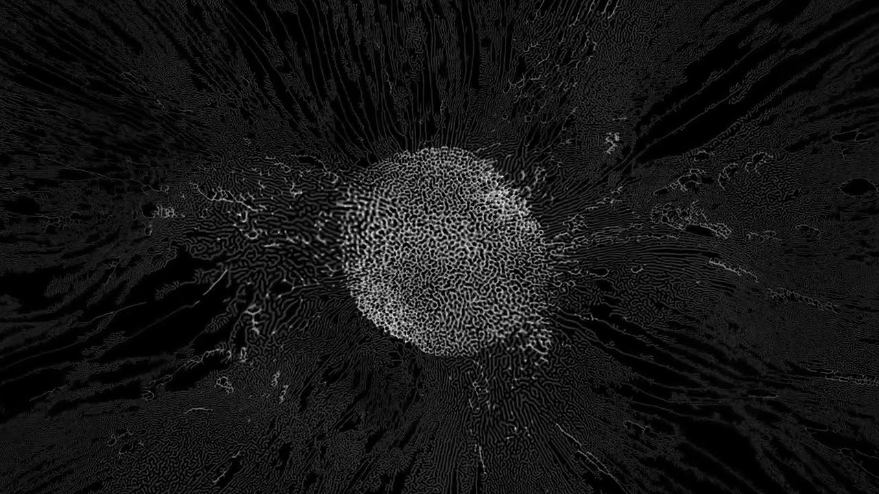 Zero Velocity - Prism