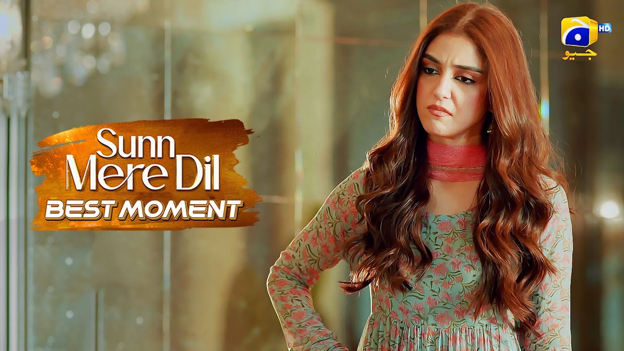 Sunn Mere Dil Episode 38 | 𝐁𝐞𝐬𝐭 𝐌𝐨𝐦𝐞𝐧𝐭 𝟎𝟏 | Wahaj Ali - Maya Ali | Har Pal Geo