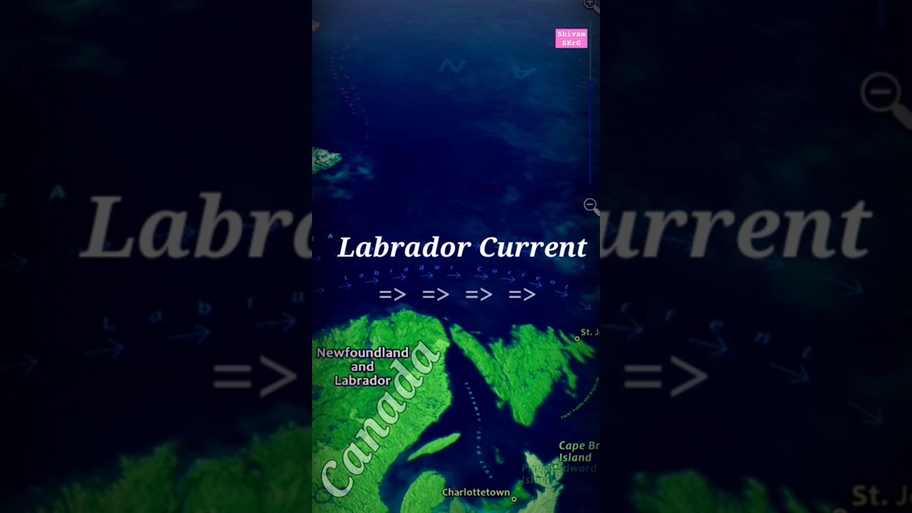 Labrador Current 🪸🪸🪸🔀 Canada ll North America #geographythroughmaps #viralshort #mapology #mapguide