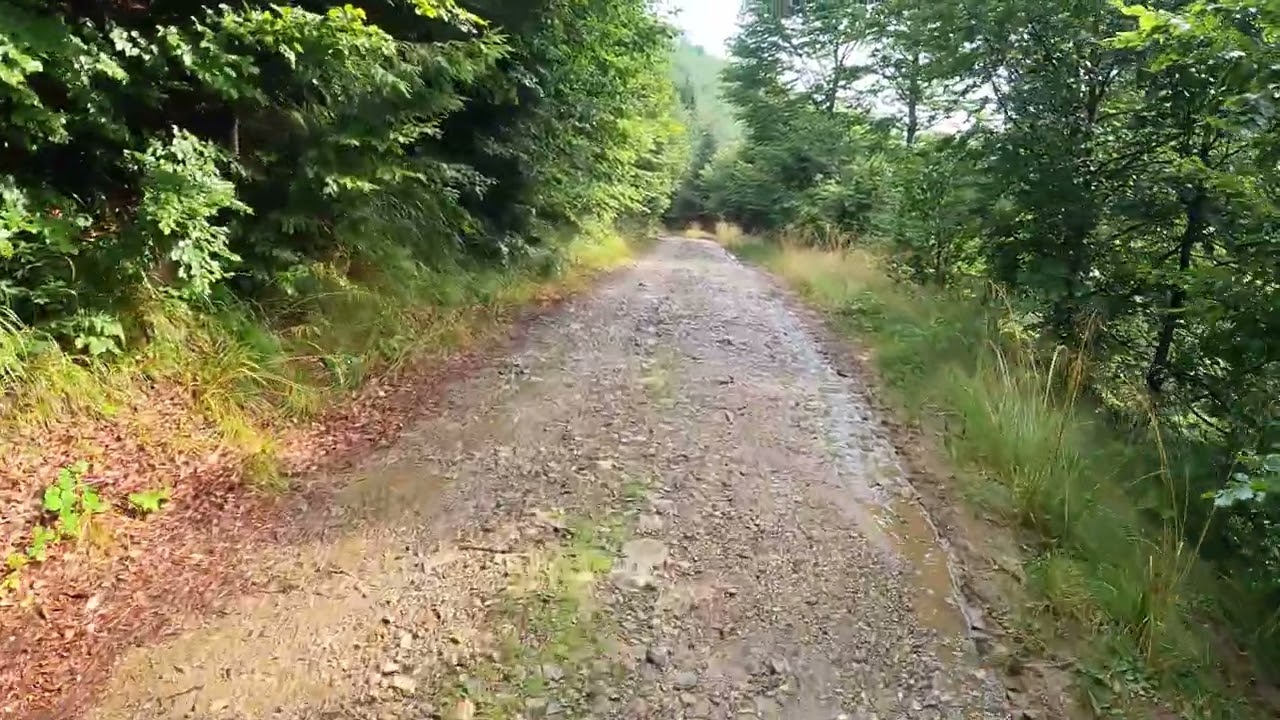 Prin județul Gorj după ploaie 