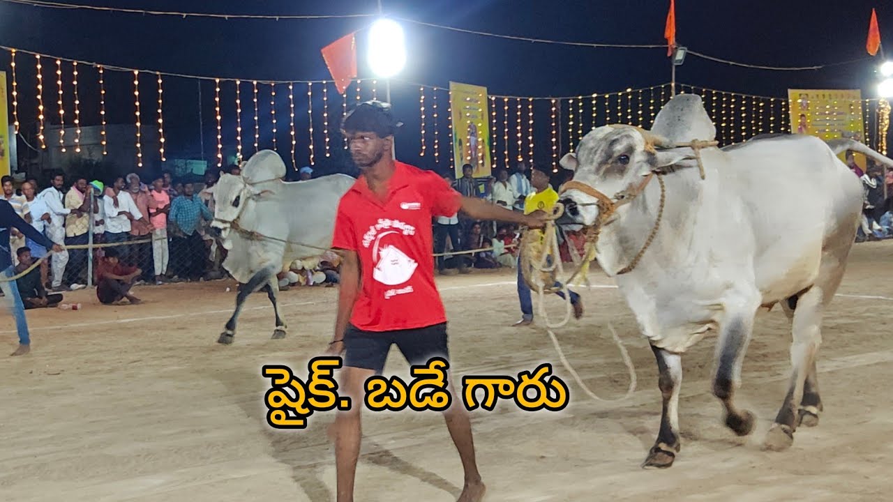 ఆకుల గణపవరం సబ్ జూనియర్స్ 7వ షైక్. బడే గారు పురుషోత్తపట్నం గ్రామం పల్నాడు జిల్లా..