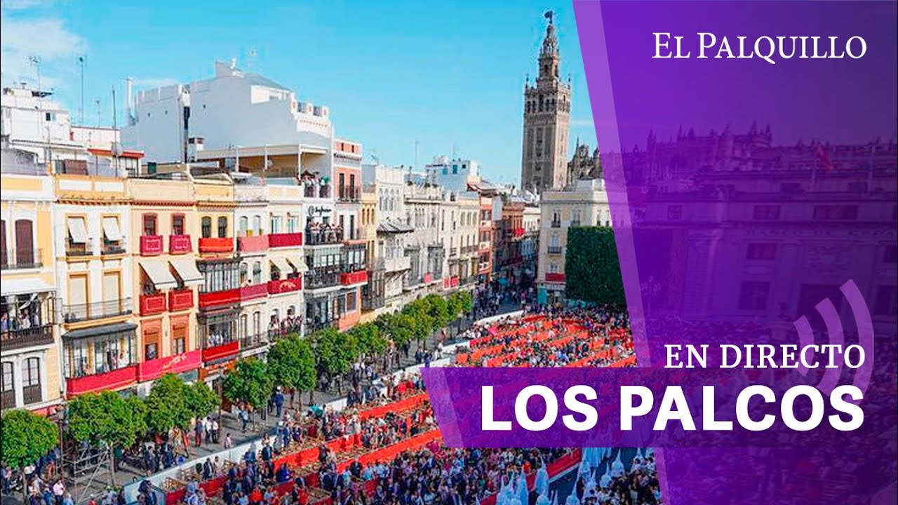 🟣 LUNES SANTO 2024 EN SEVILLA | DIRECTO | PROCESIONES POR LA CARRERA OFICIAL