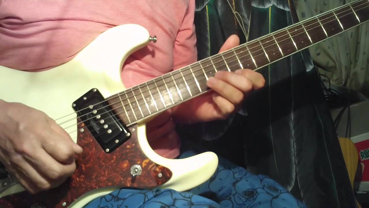 The Shinjuku breeding  新宿育ち　エレキインスト
