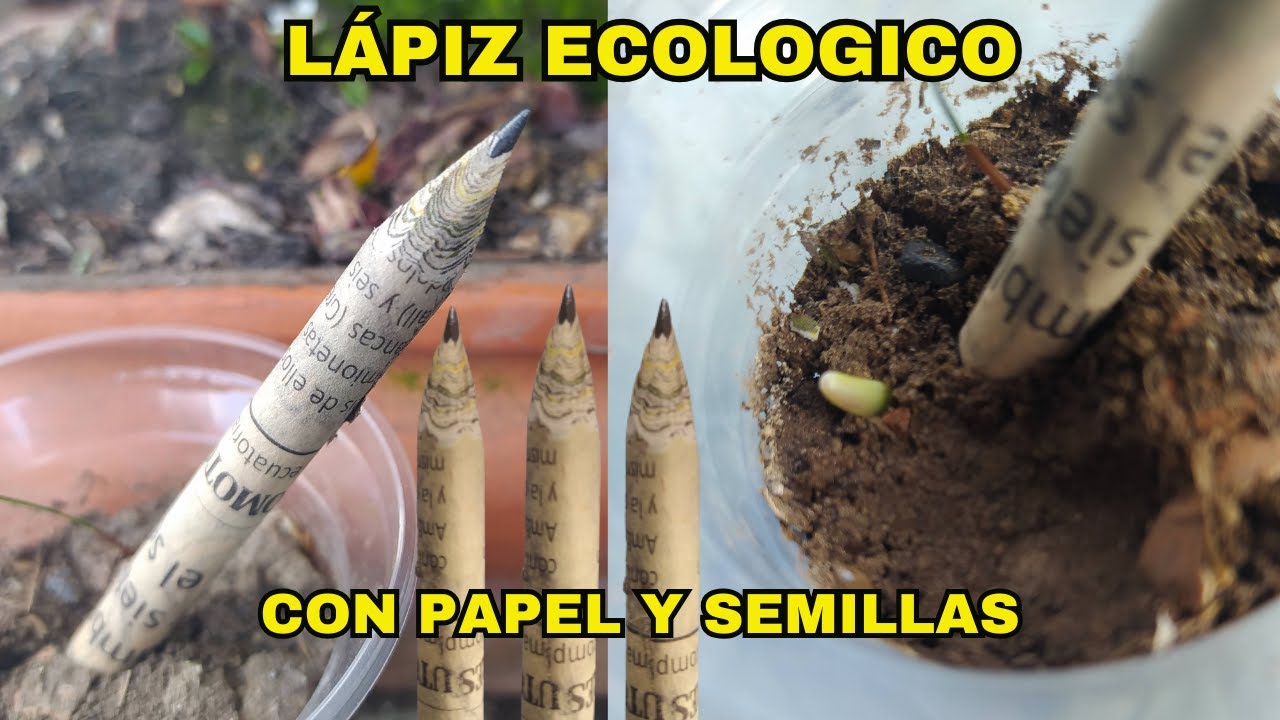 Como hacer un lápiz ecológico con papel periódico reciclado