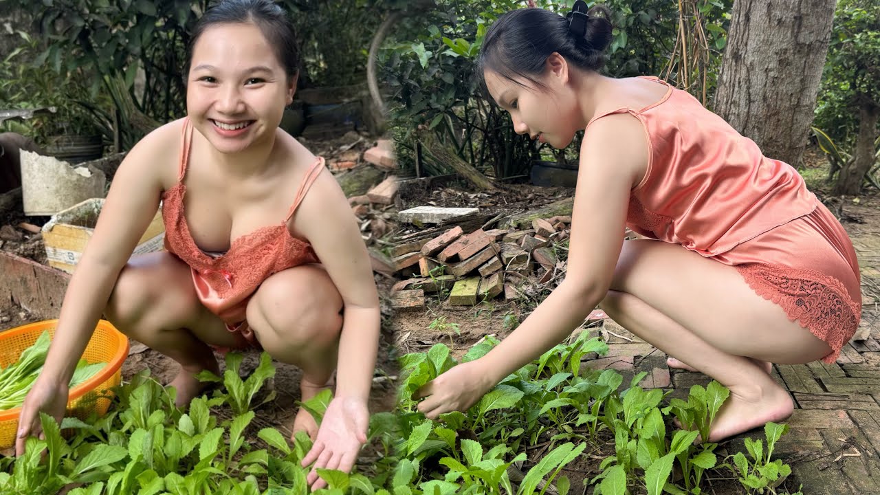 Thanh Thư Ra Chăm Sóc Vườn Rau Thì Phát Hiện Thứ Lạ, Con Gì Đây? | TTMT#311 