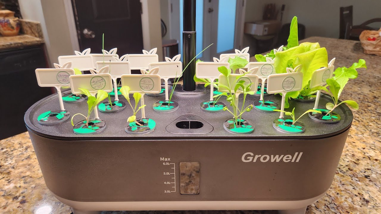 Система гидропонного выращивания Growell в помещении. Выращиваем больше продуктов.