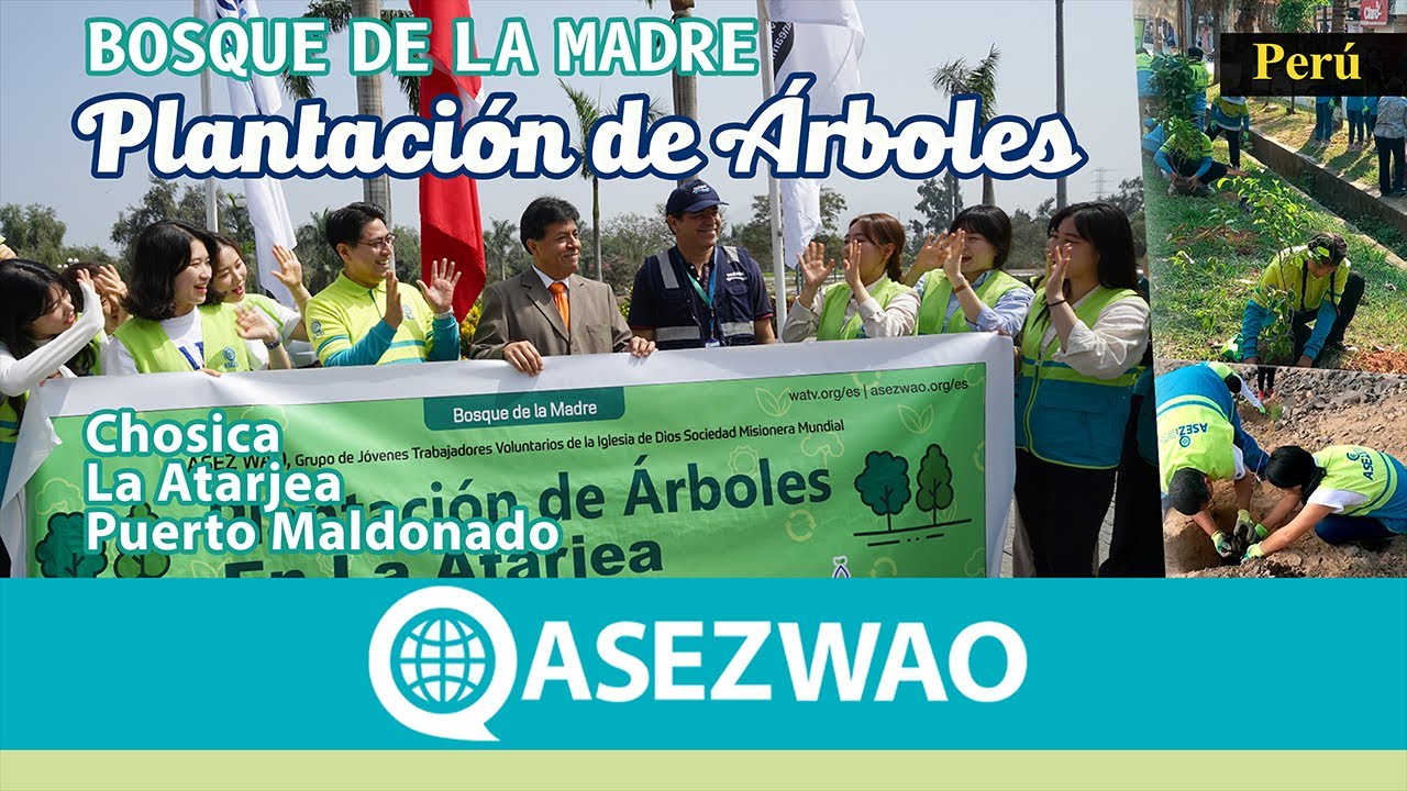 Plantación de Árboles en Chosica, La Atarjea y Puerto Maldonado | ASEZ WAO Perú | IDDSMM