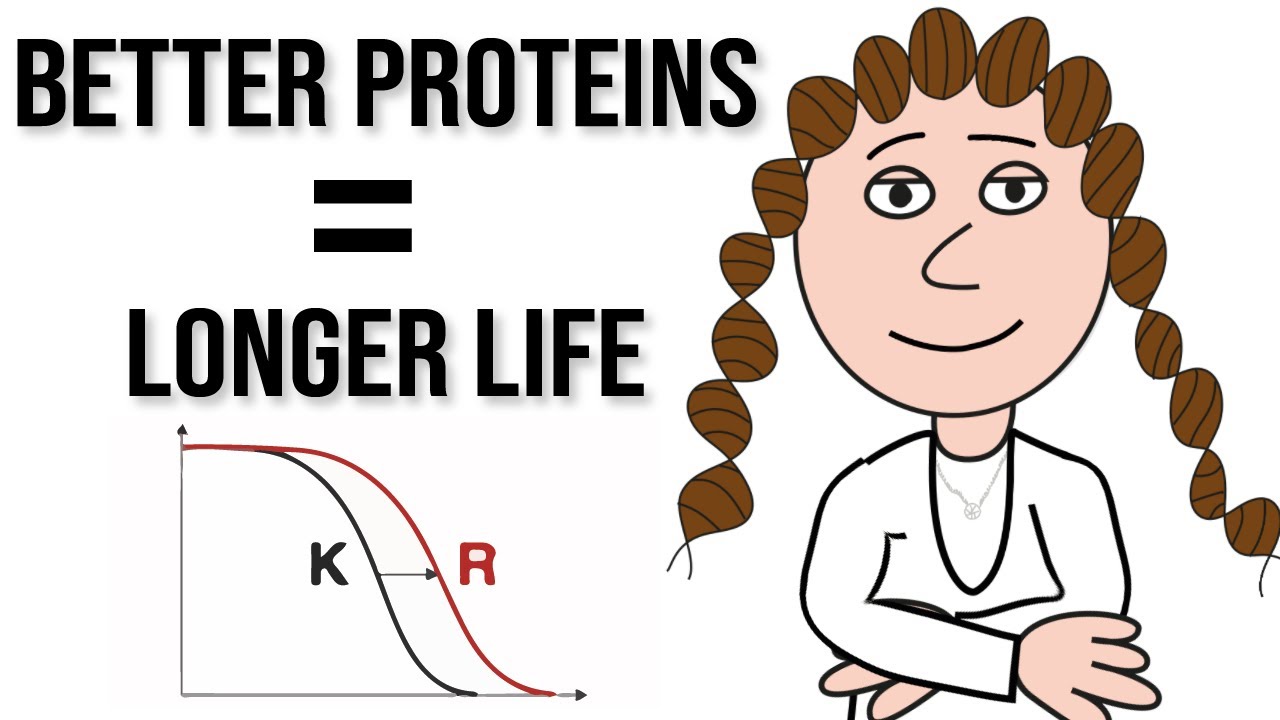 Better proteins - fidelity the key to longevity?