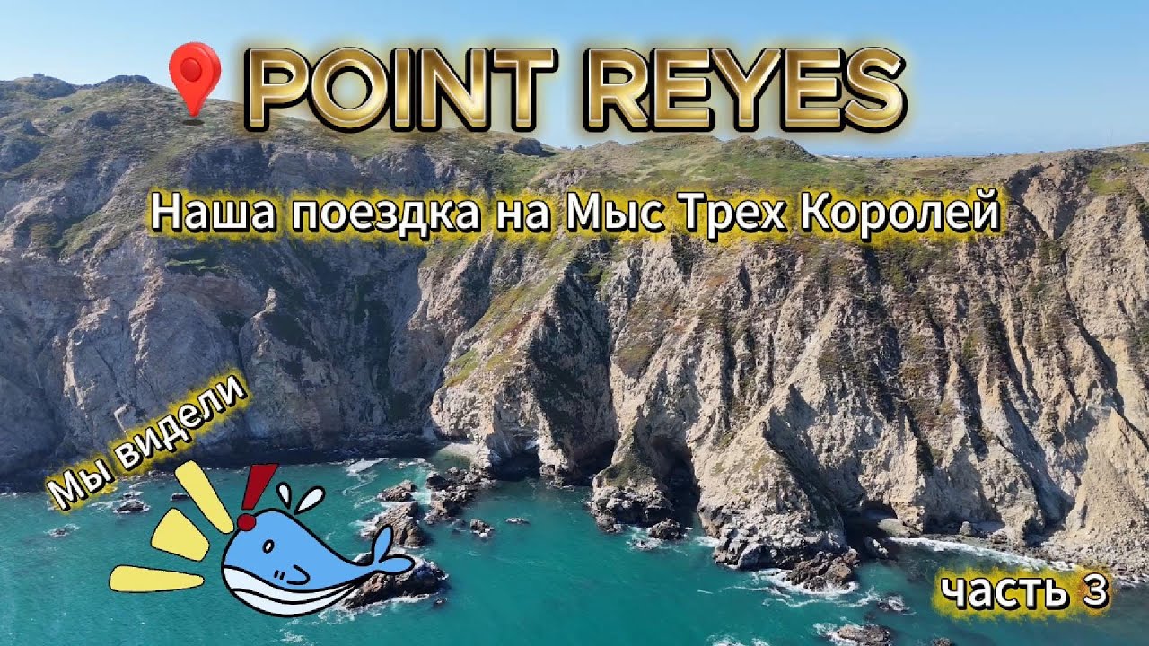 Point Reyes - ч.3 Мыс трех королей, возвращаемся домой, вкусный завтрак, неожиданное знакомство