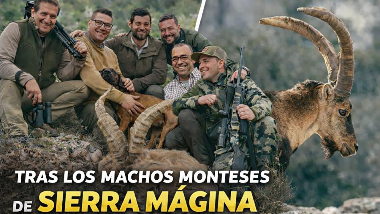 Tras los machos monteses de Sierra M&aacute;gina | Monterias Riquelme