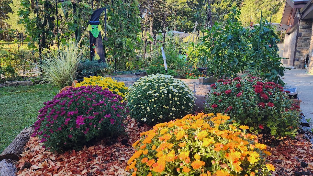 Early Autumn Garden Walk & Chat // See My Autumn Garden Decorations // IT'S MY BIRTHDAY TODAY 🍁