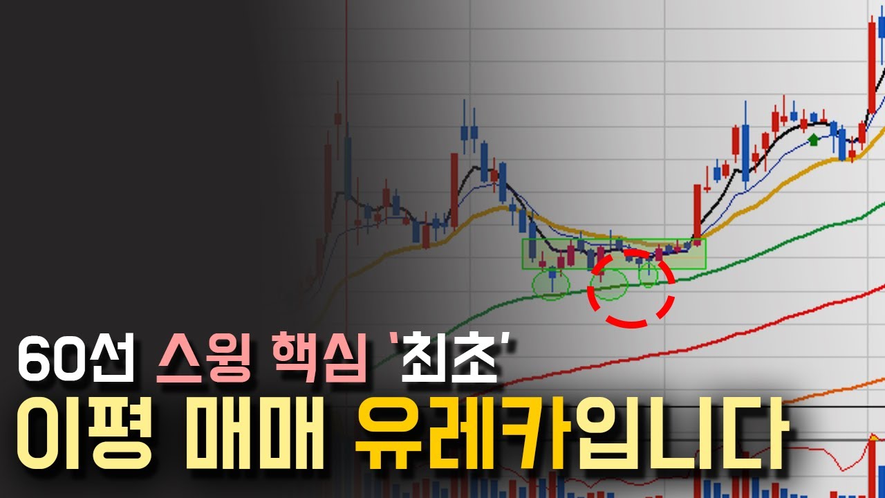 이정도 이동평균선 보는법 기본기가 있으면 에코프로 같은 종목 먹습니다