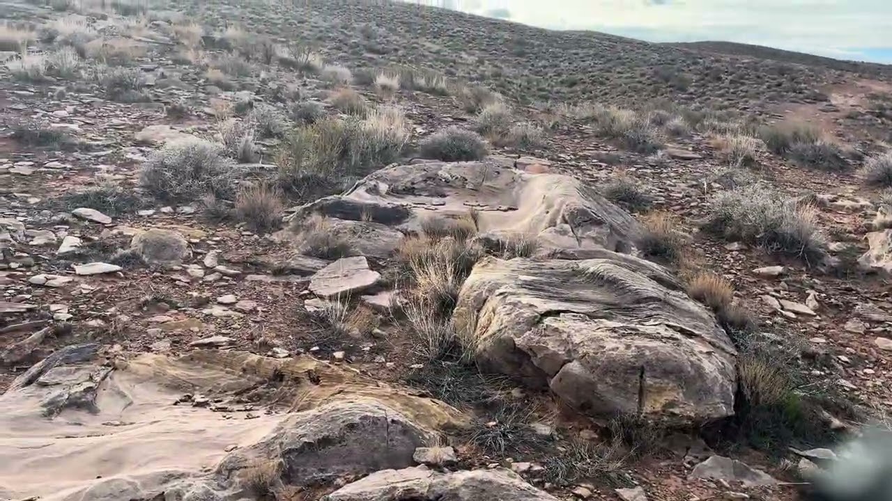 En el Desierto explorando 