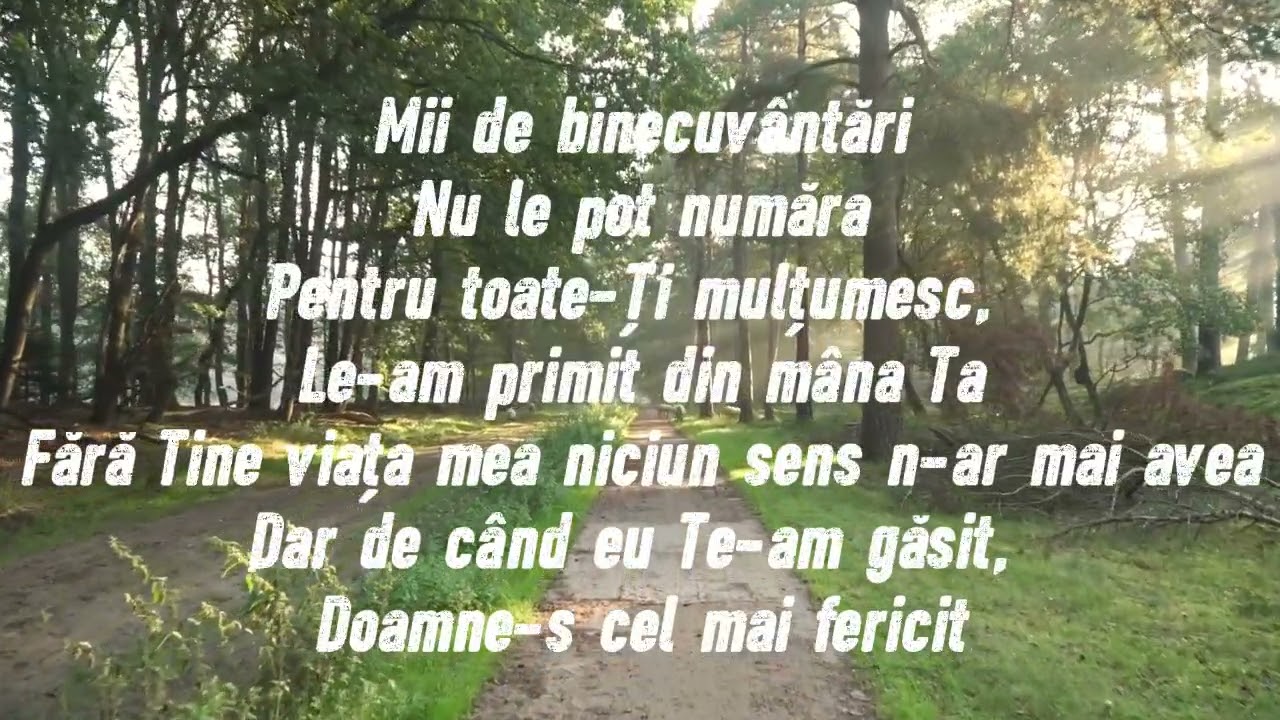 Ligia Crisan- Pana la sfarsit