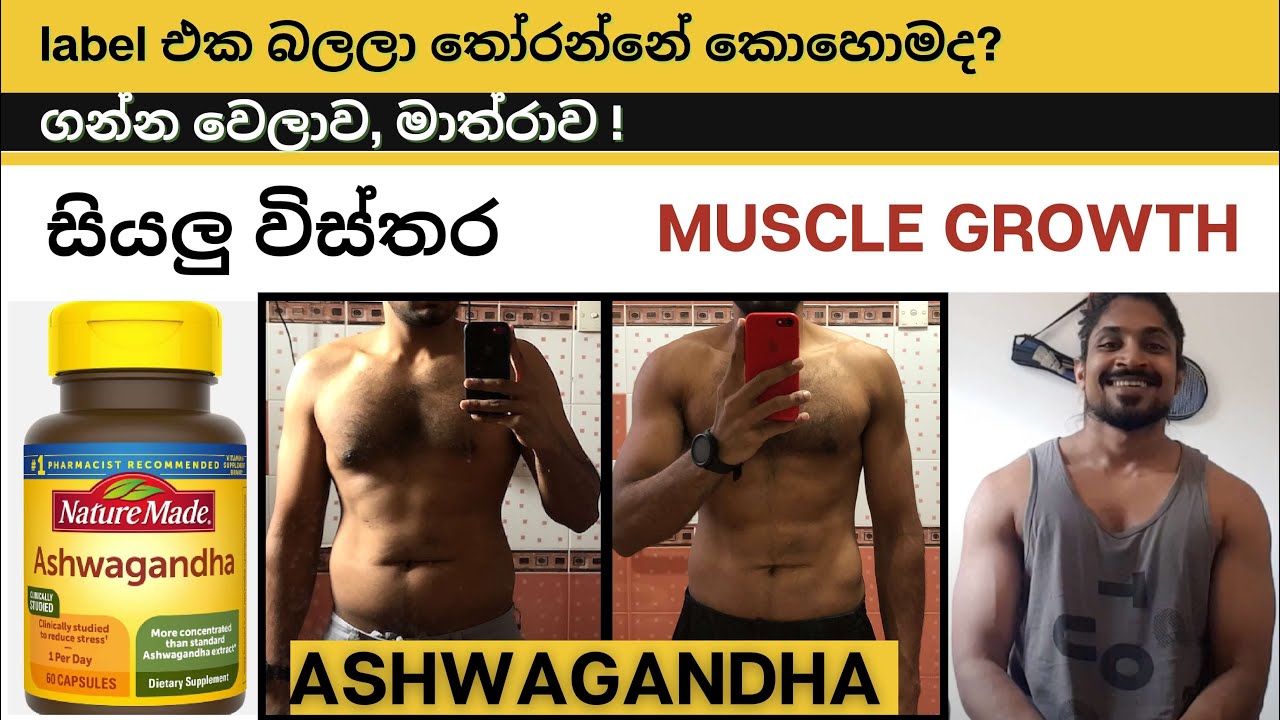 අශ්වගන්ධ පිළිබඳ සියලුම කරුනු | What to buy, How to use, Correct Dosage and Timing In Sinhala