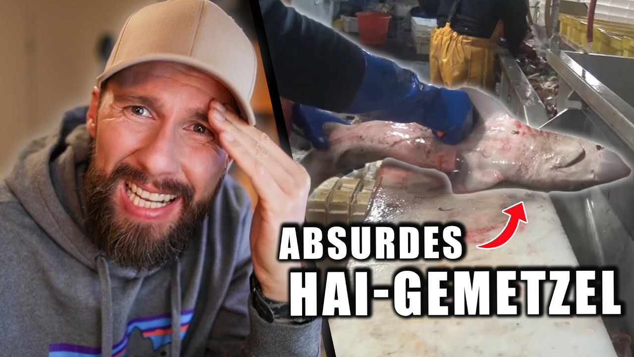 Schrecklich! UNDERCOVER auf Fischerbooten gefilmt - SOKO Tierschutz deckt auf | Robert Marc Lehmann