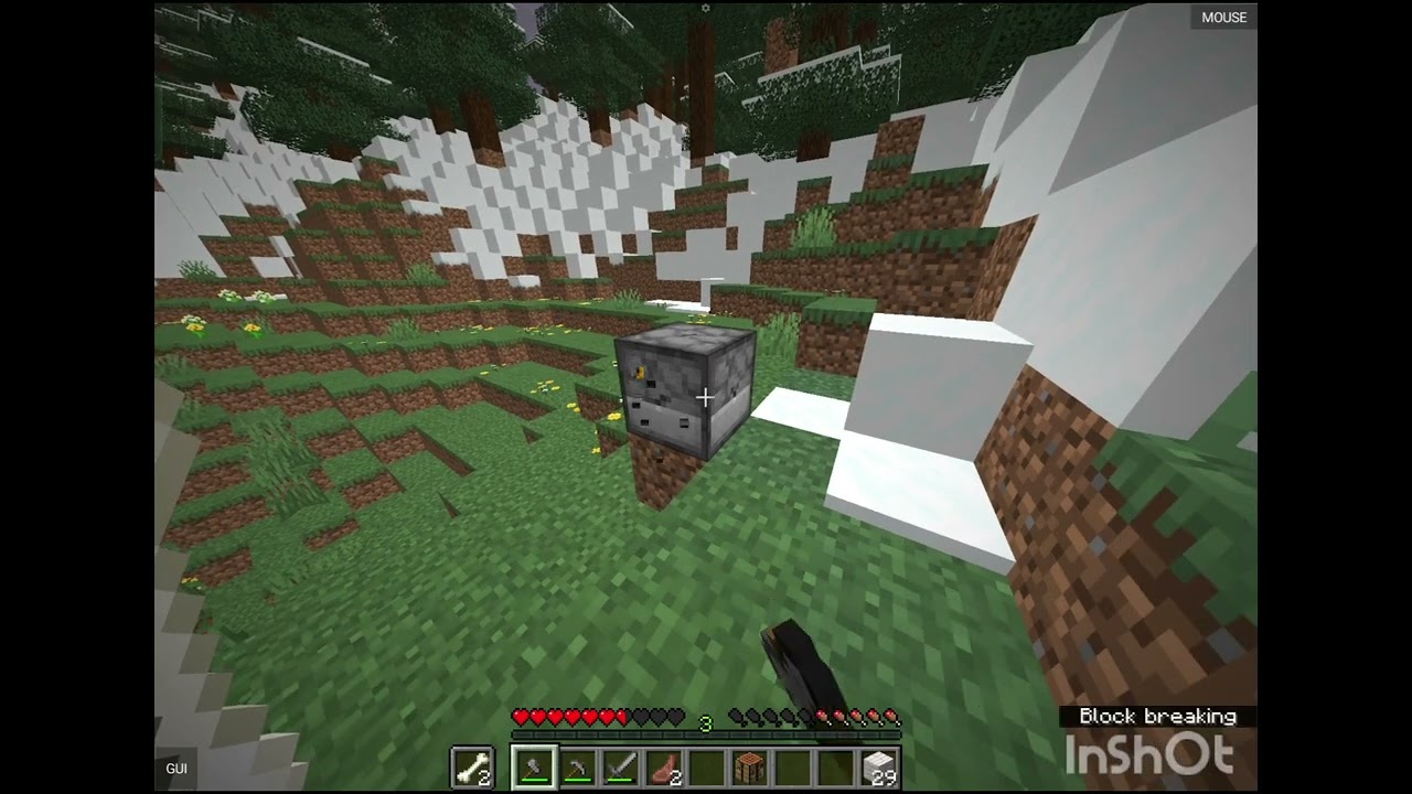A new world with my brother