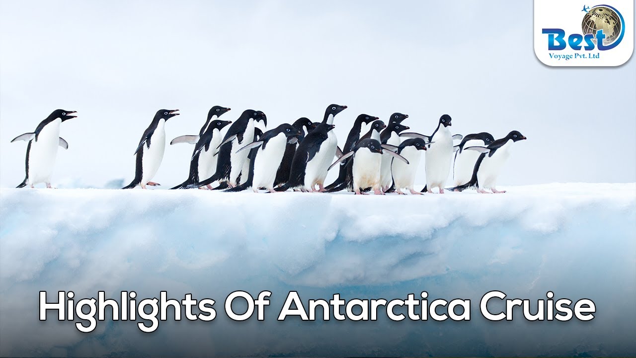 Antarctica Cruise