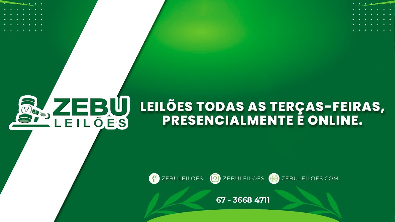 03/03/2026 - 582º Leilão de Gado de Corte em Paranaíba-MS - Zebu Leilões