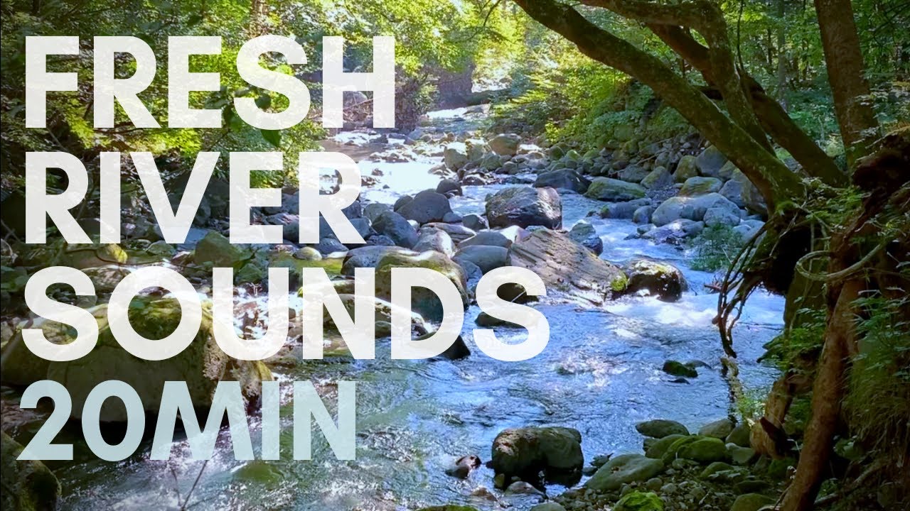 【自然の音】【川の音 】【水の音】朝の爽やかな山の映像と遠くから聞こえてくる川の音　リラックス　集中　瞑想　癒しRefreshing sounds of distant river for relax