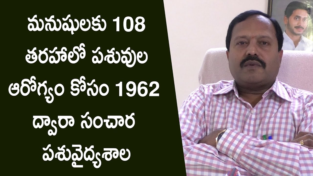 మనుషులకు 108 తరహాలో పశువుల ఆరోగ్యం కోసం 1962 ద్వారా సంచార పశువైద్యశాల | YSRTV