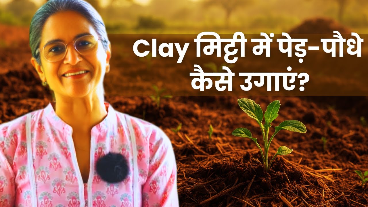 Clay Soil में पेड़ नहीं उगते? कोई बात नहीं – Ye करें और पेड़ उगाएं