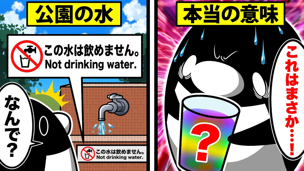 知らないと怖い雑学5選！〜公園の水が飲めない本当の理由〜【アニメ】