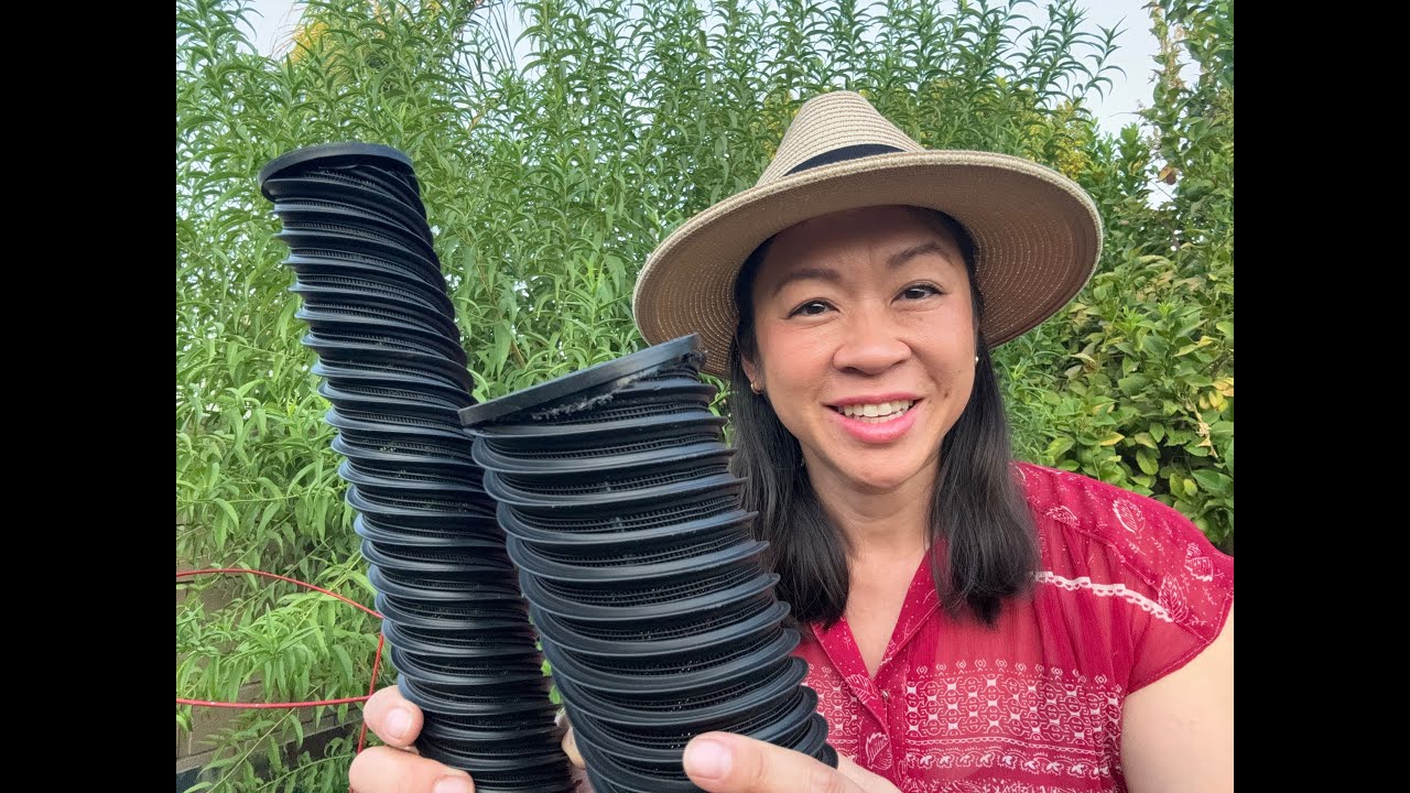 3 Biggest Gardening Problems Solved With Hydrospiral Deep Root Irrigation and Aeration Tube