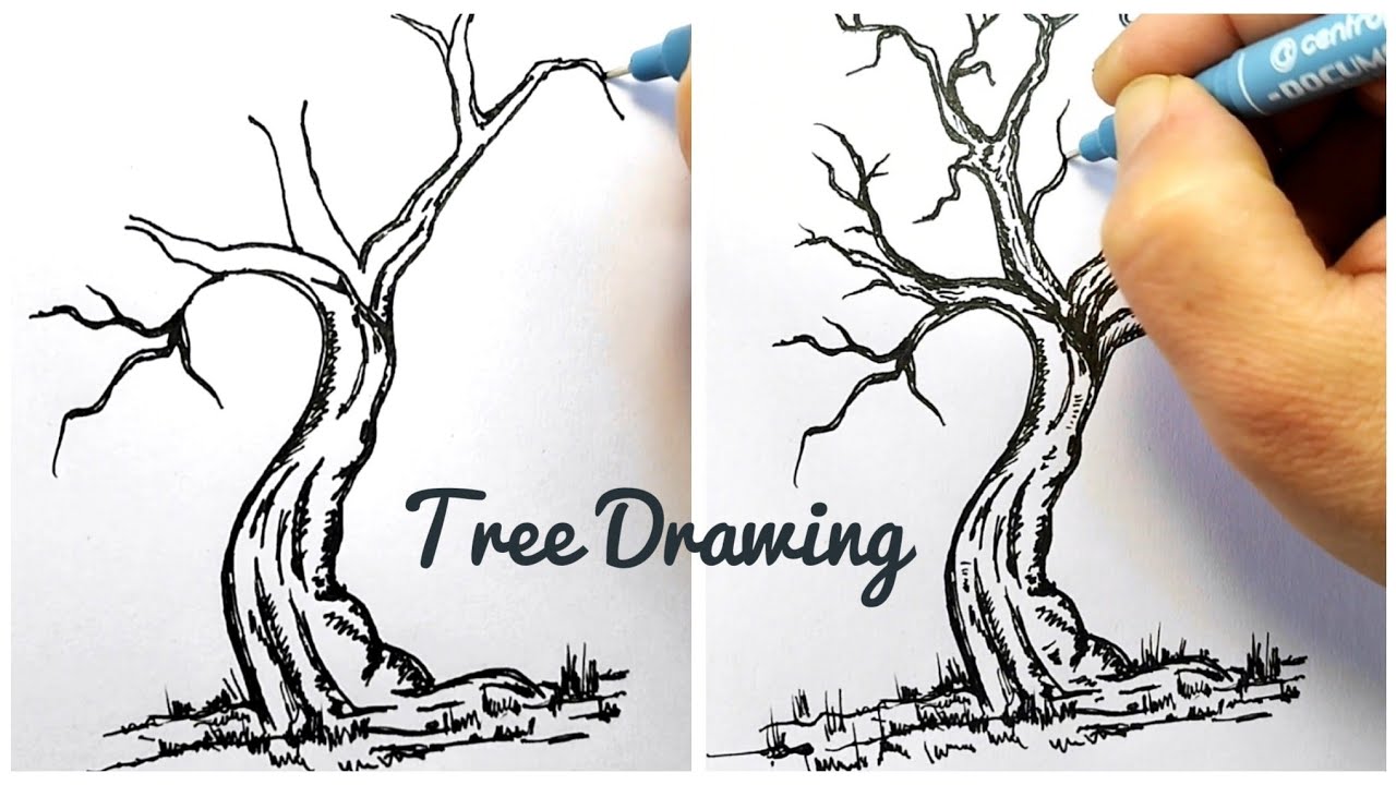 How to Draw Dead Tree Easy Simple Tutorial Art Illustration Idea part 9