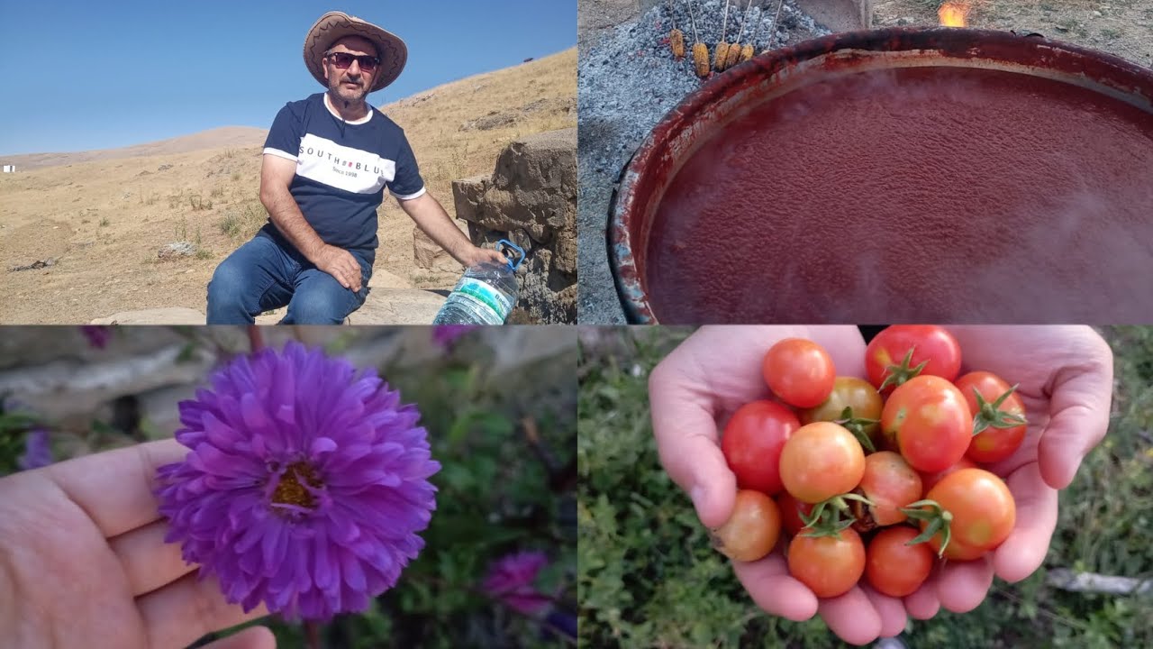 Köyde Domates Salçası Yapımı |Akkışla-Kesdoğan|