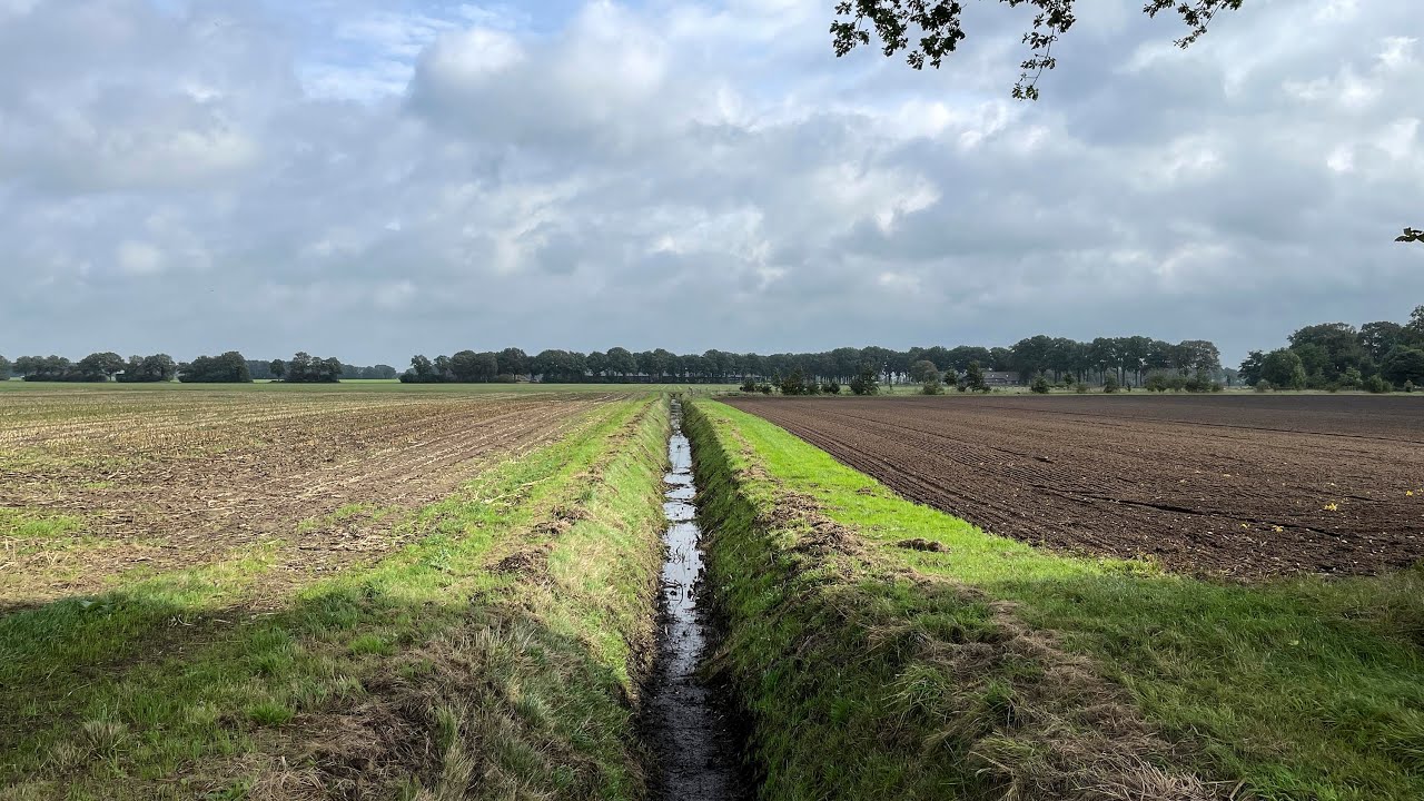 Wandelen over het Pieterpad - etappe 6 - Schoonloo-Sleen