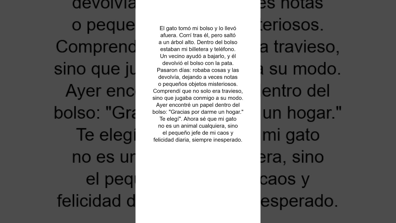 Gato 😿 #historia #historias #historiasdeamor #historiadelavida #noticias #an&eacute;cdota