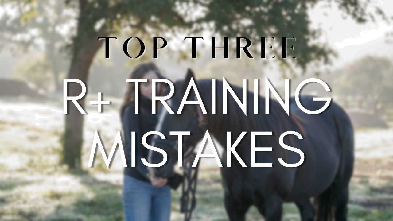 Top Three R+ Training Mistakes