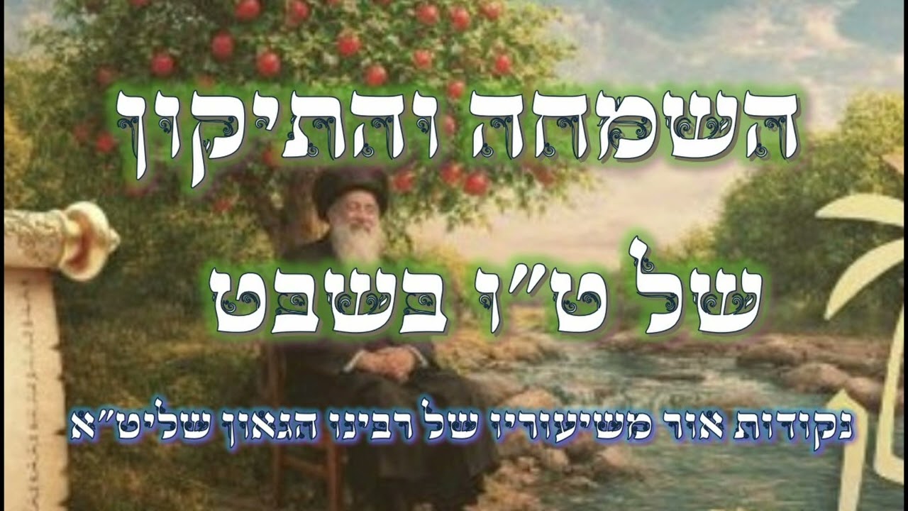 השמחה והתיקון של ט