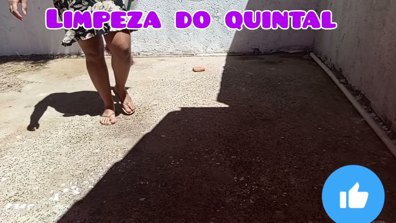 Limpando o quintal 