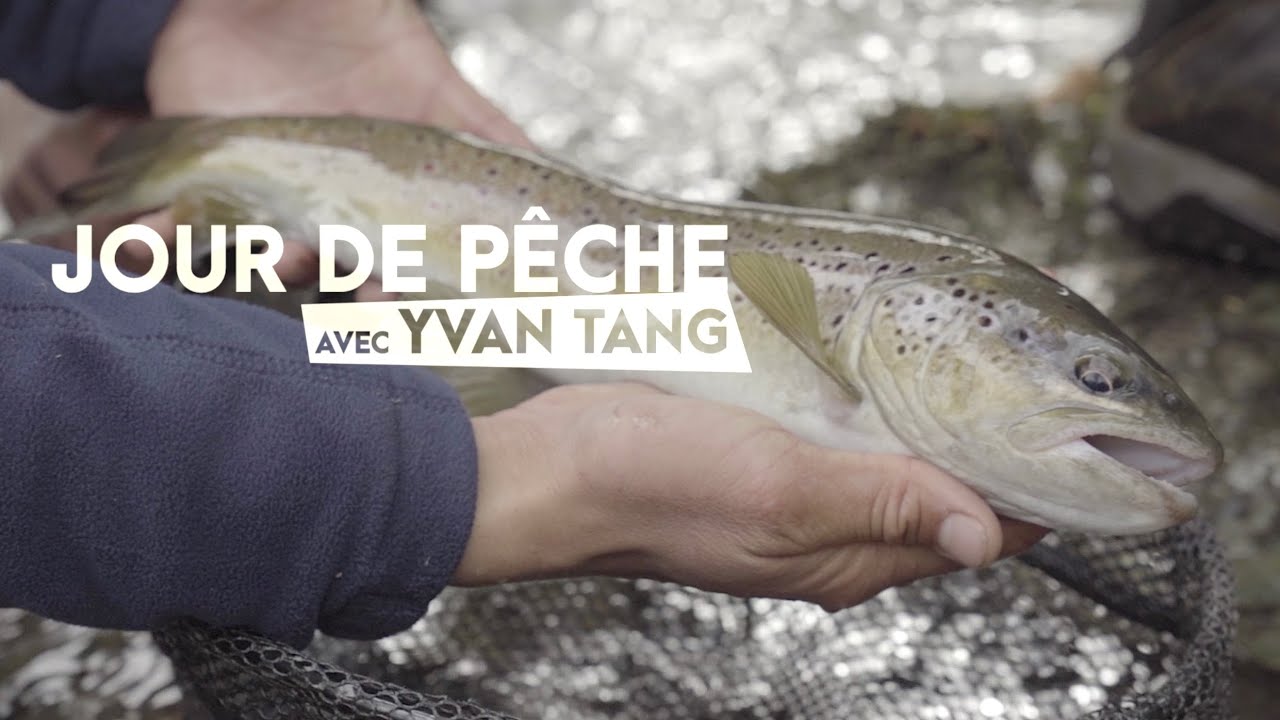 Des truites magnifiques dans cette petite rivière :Jour de Pêche avec Yvan Tang