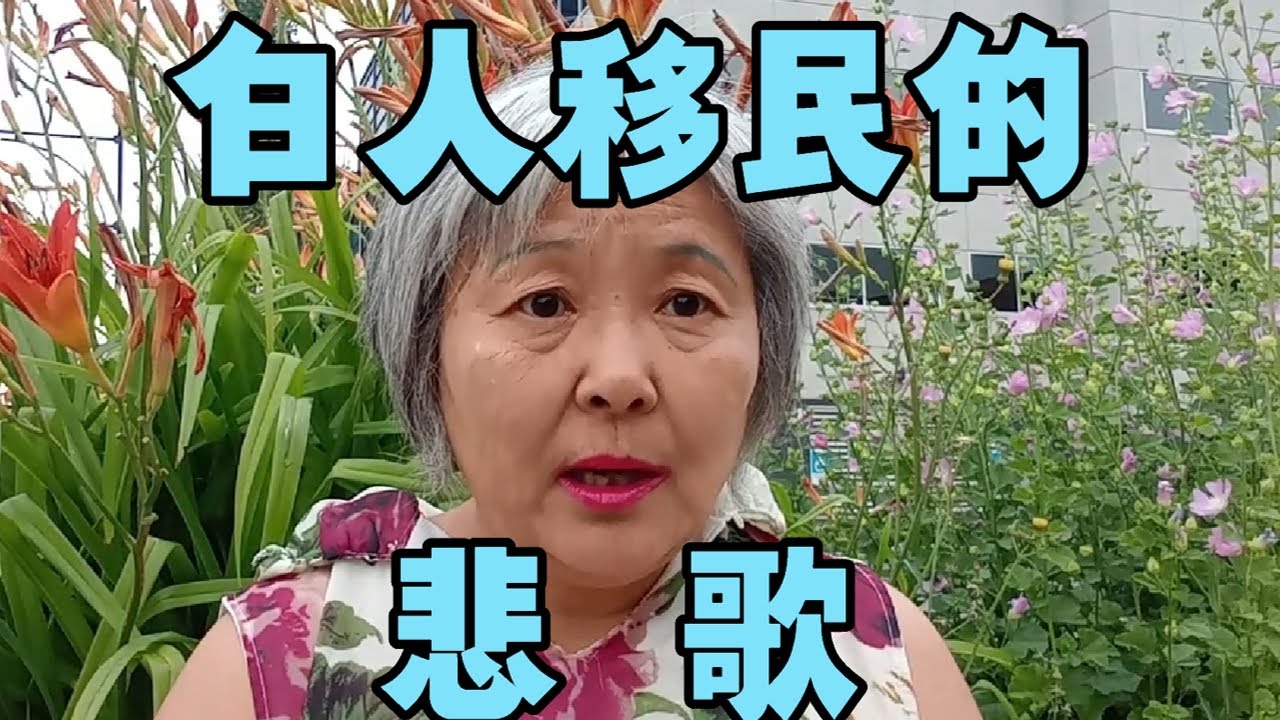 白人移民的悲歌