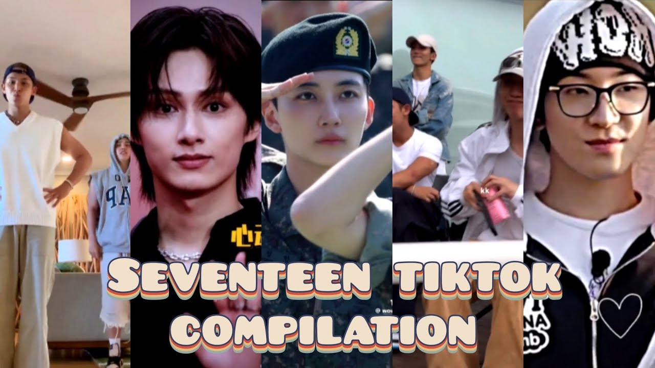 SEVENTEEN RANDOM TIKTOK FOR @LennyLen ✨