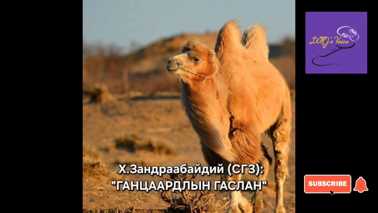 Х.Зандраабайдий 
