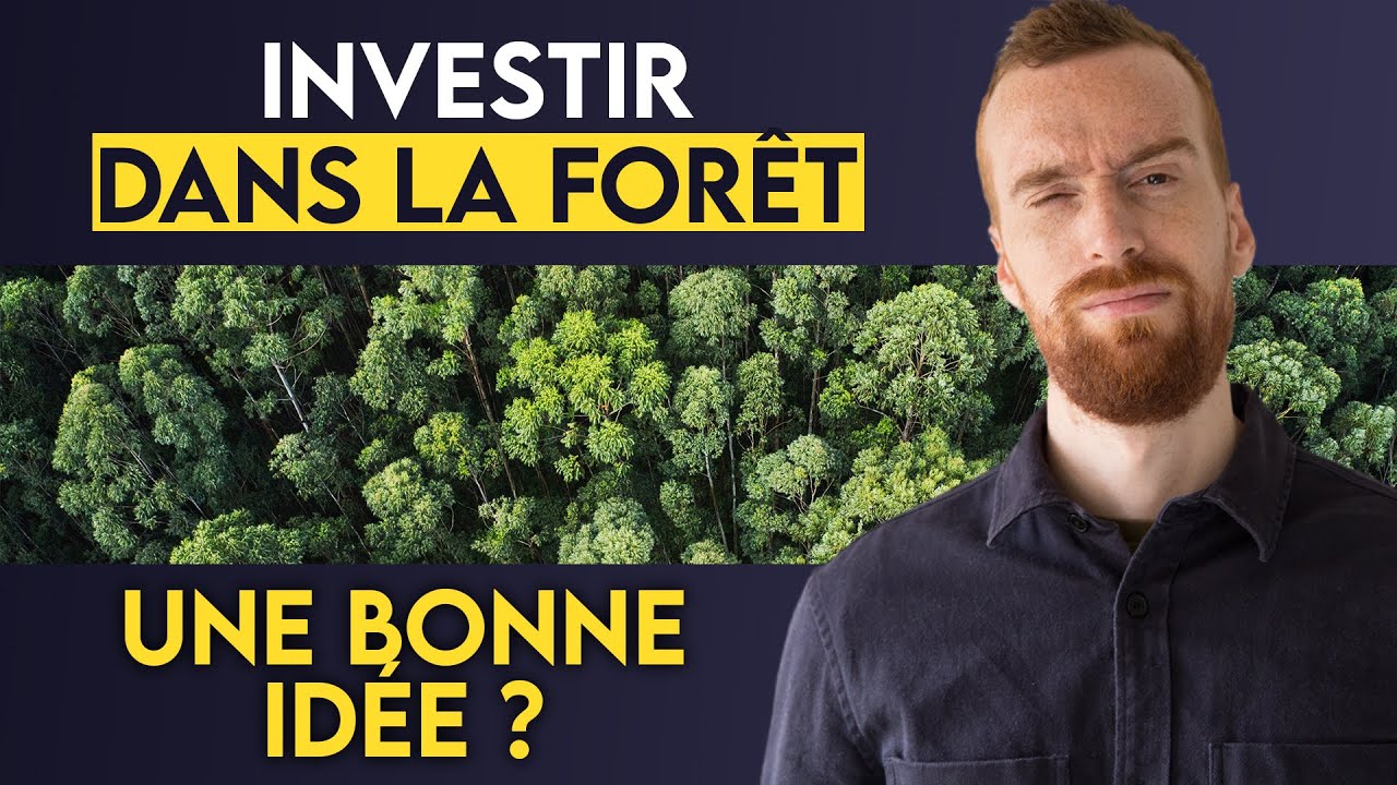 GFI : Comment investir passivement dans les forêts ? (Transmission / Réduction d'impôt / IFI ...)