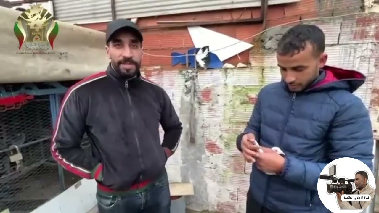 فرجة ممتعة دائما مع ابطال الجمعية السلاوية للحمام الزاجل ومع القناة العالمية لأخوكم أزولاي 