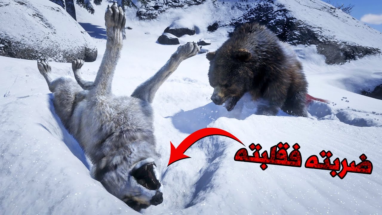 مود الدب الأسطوري إلعب ريد ديد ريدمبشن 2 كأنك حيوان دب | RDR 2 Animal Bear Mod