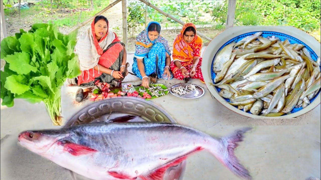 অনেকদিন পর 4 kg ওজনের পাঙ্গাস মাছ কেটে রান্না সাথে চেলা মাছের টক আর সরষে শাক ভাজা