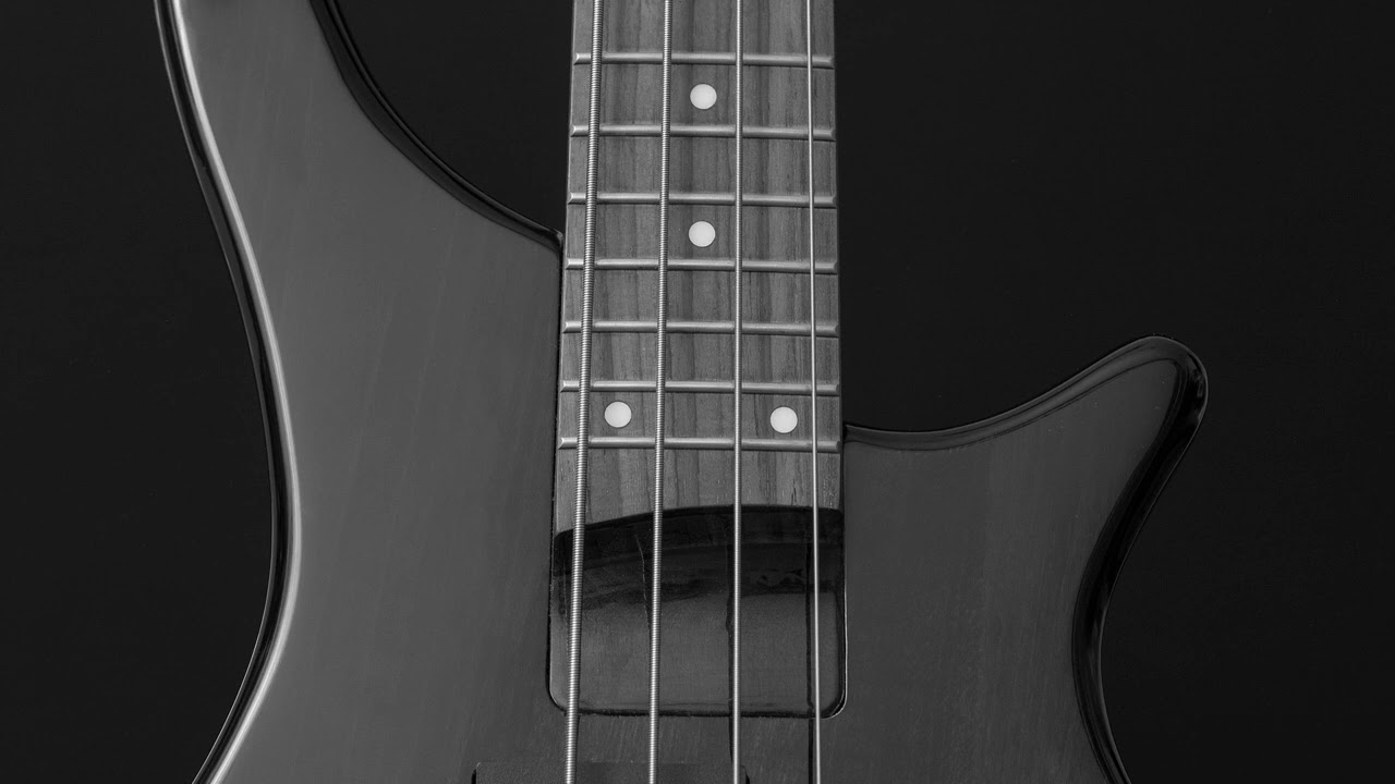 Skitarg - Utvecklingsstörd (bass backing track)