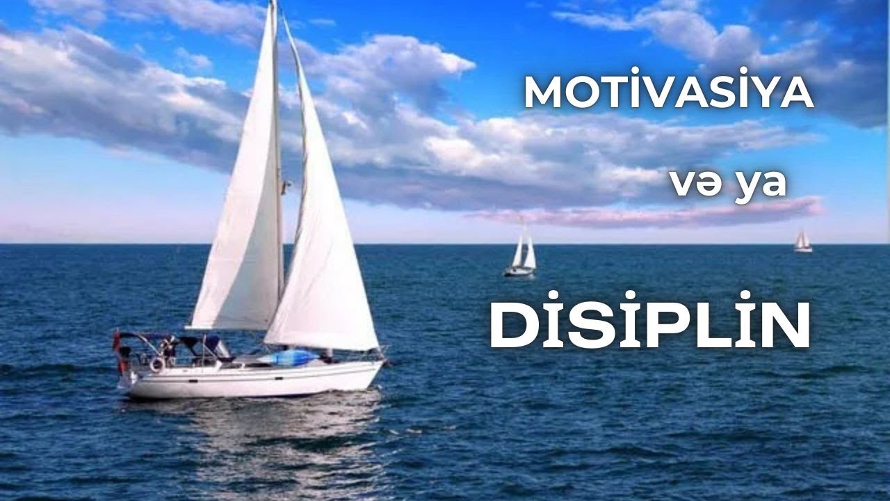 Motivasiya və ya Disiplin?