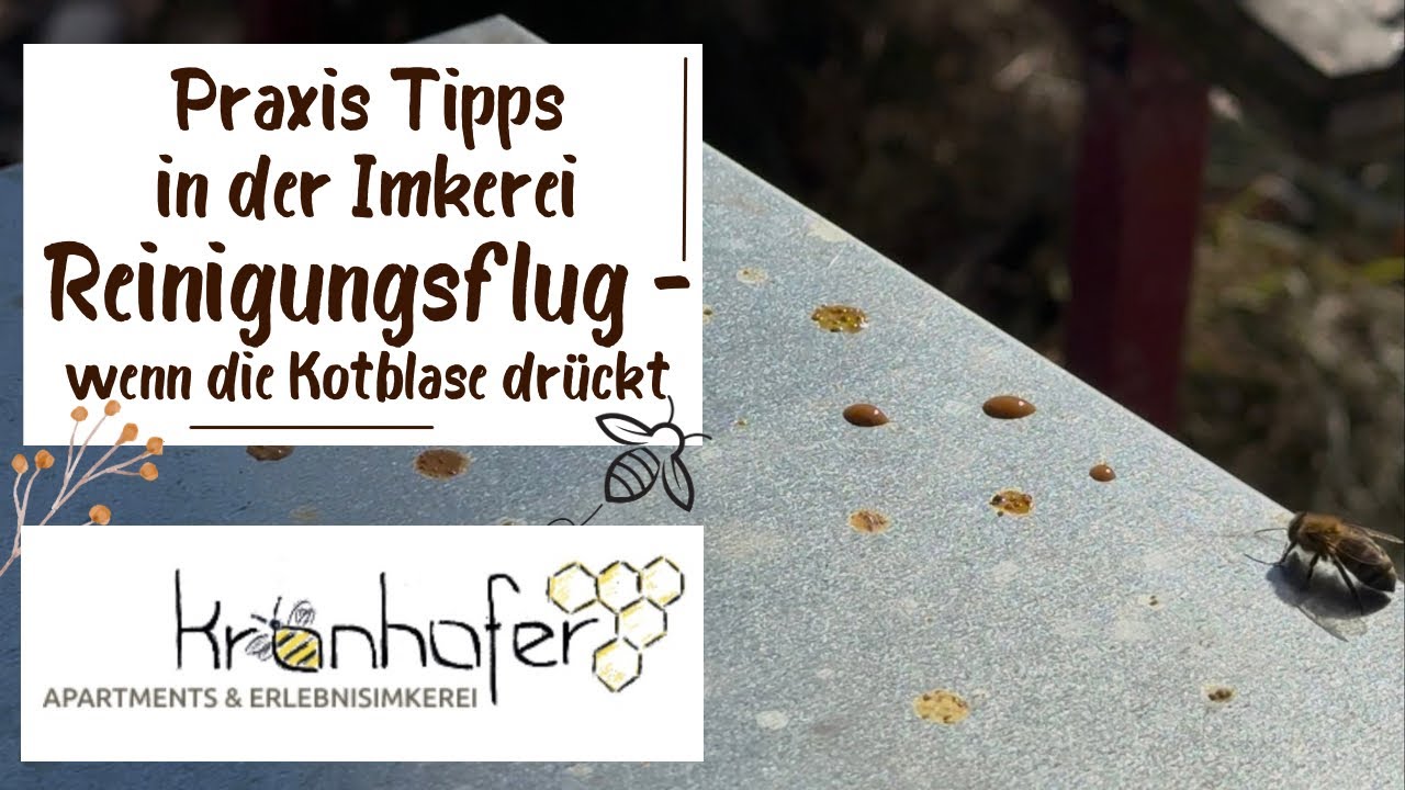 35. Praxis Tipps: der Reinigungsflug - wenn die Kotblase drückt