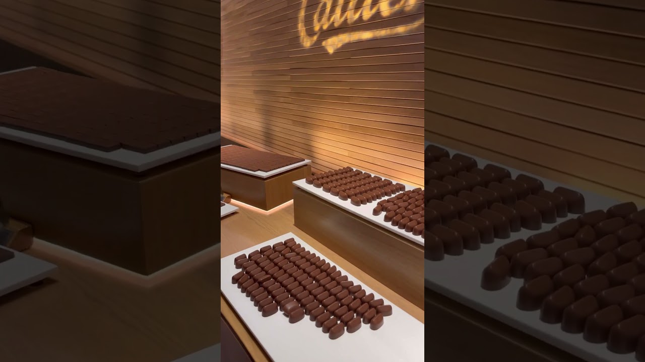 Chocolate Tasting At Maison Cailler Chocolate Factory 🏭 