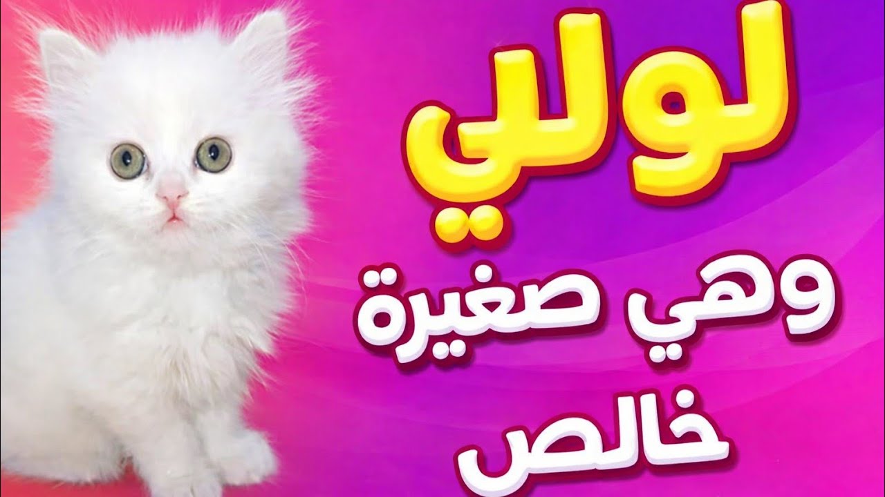 فيديو للولي و هي صغيرة خالص 🤣🤣🤣🤣